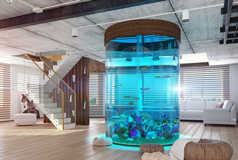 what size aquarium best custom aquariums design